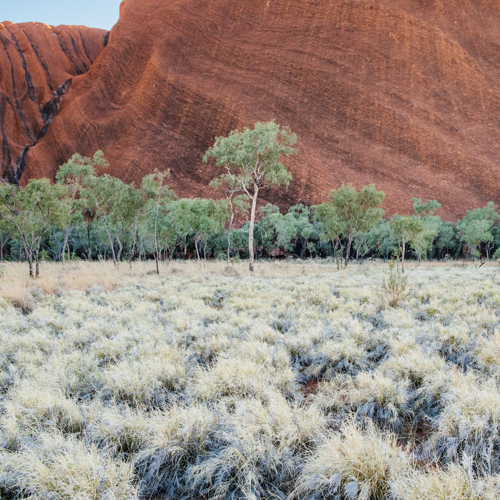 The Red Centre