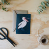 Greeting Card - Pelican Australian Birds